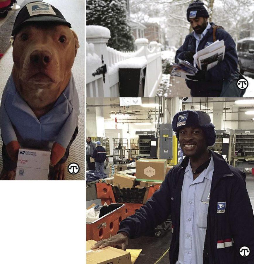 Sugerencias+de+seguridad+de+Pap%C3%A1+Noel+para+la+gente%2C+mascotas+y+paquetes