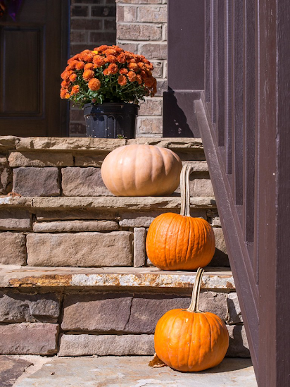 Chill out and craft these fall decorations