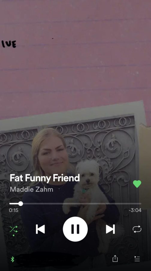 Maddie Zahms Fat Funny Friend came out on Feb. 4 and has been a relatable song for so many people.