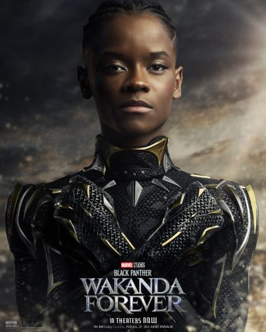 Shuri, the sister of Chadwick Bosemans character TChalla, takes up the role of Black Panther in this sequel to the hit 2018 film.