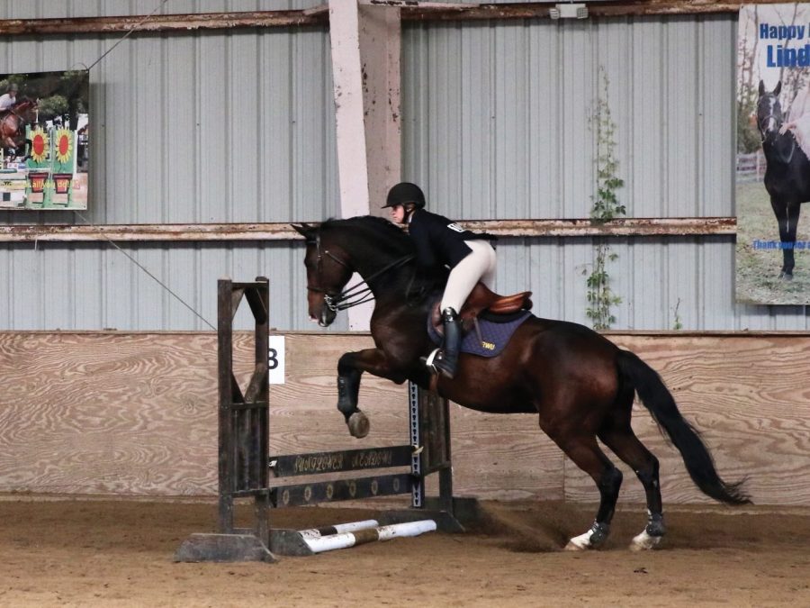Leah+Petricca%2C+a+sophomore+equestrian+jumping+a+hurdle+with+her+horse.+