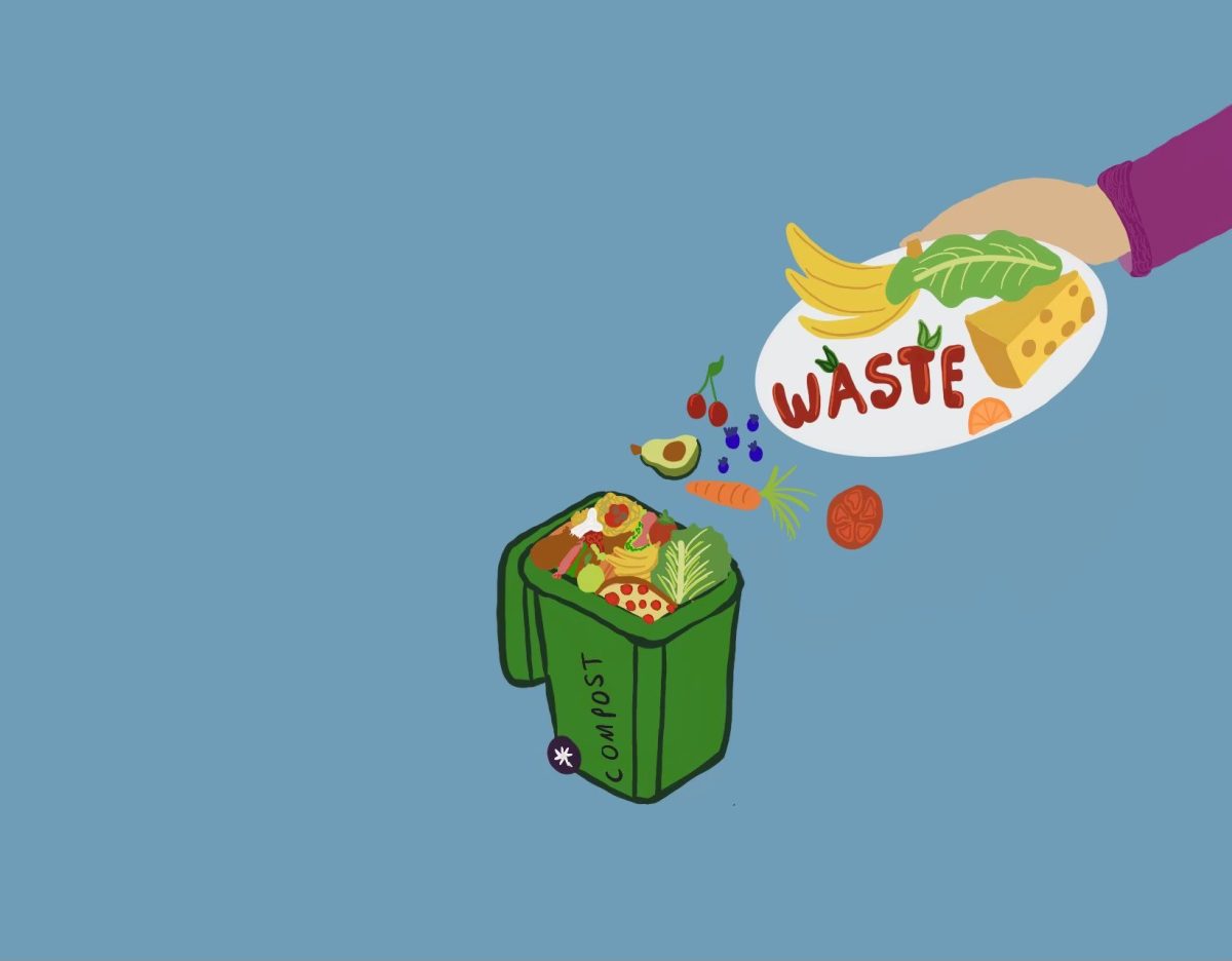 Hawks Soar Above Food Waste, One Plate at a Time!