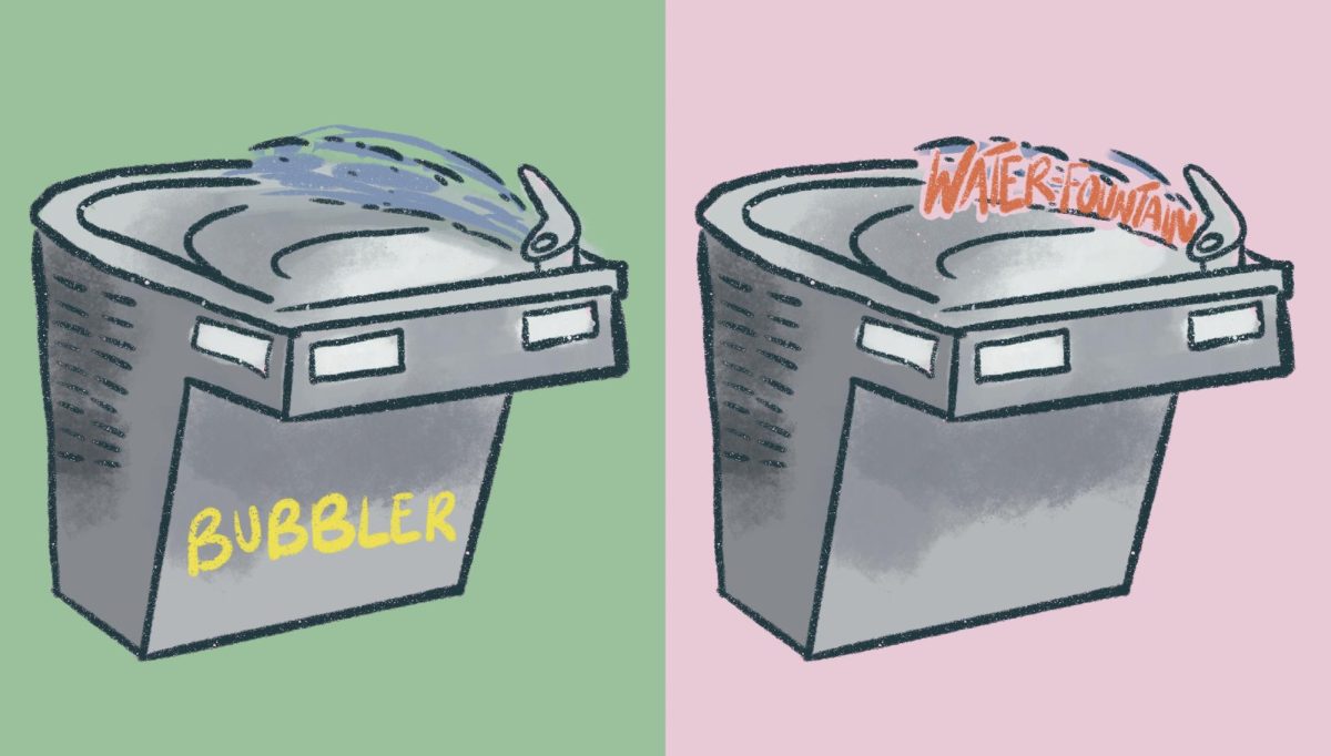 Bubbler vs water fountain