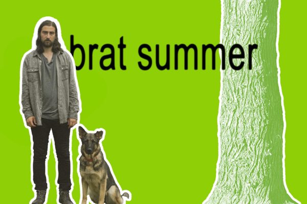 Brat Summer or Stick Season?