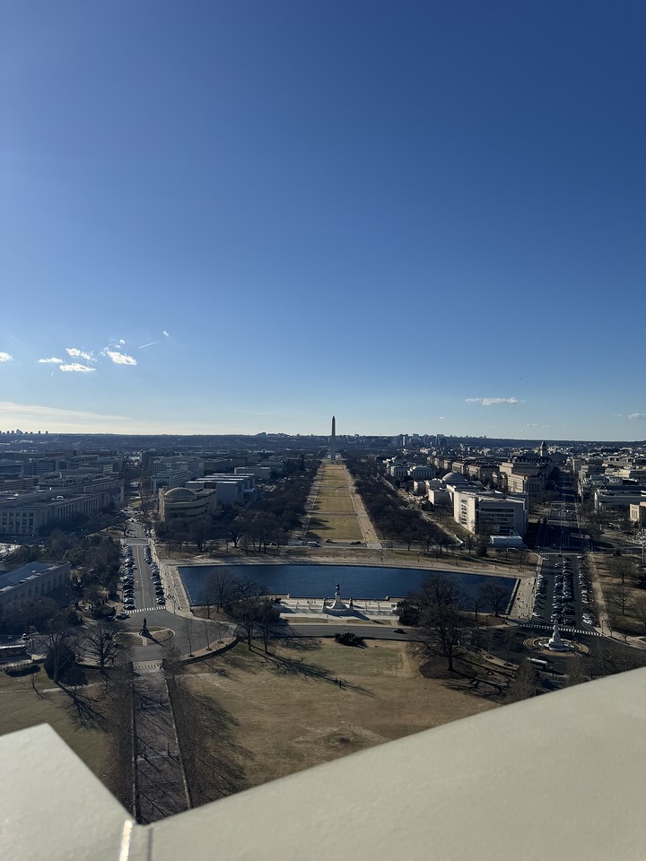 Hawks Soaring in DC