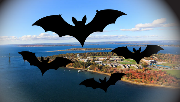 A Rhode Island Vampire: Mercy Brown