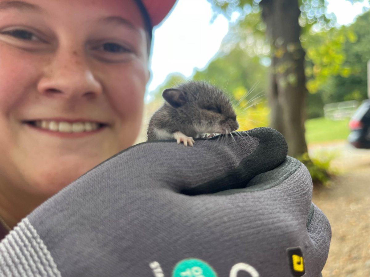Beach Cleanup Club President, Sydney Zobel, and young mouse who was found during the cleanup. The mouse was named Geronimo by Cleanup Club members.