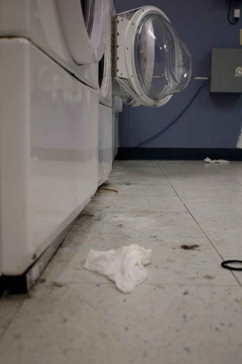 Dirt and trash on the floor in Bayside