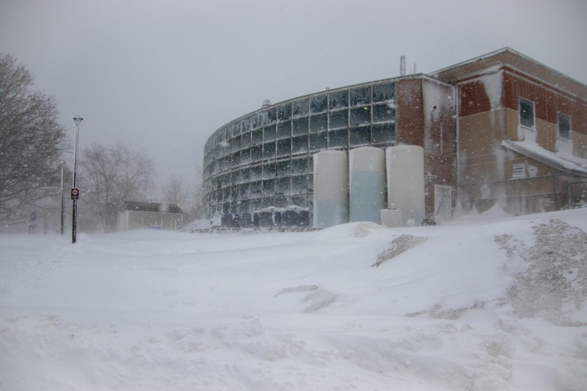 Blizzard (Feb 23rd)-5