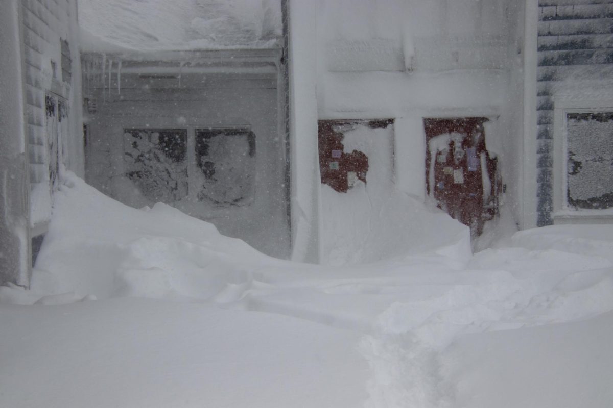 Blizzard (Feb 23rd)-2